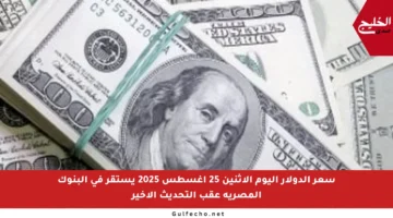 سعر الدولار اليوم الاثنين 25 أغسطس 2025 يستقر في البنوك المصرية عقب التحديث الأخير